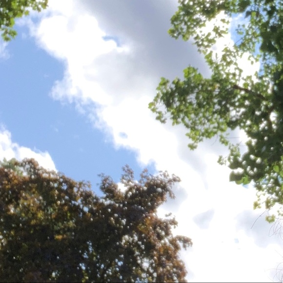 Meet your Posher, Jadalys - Picture 1 of 1